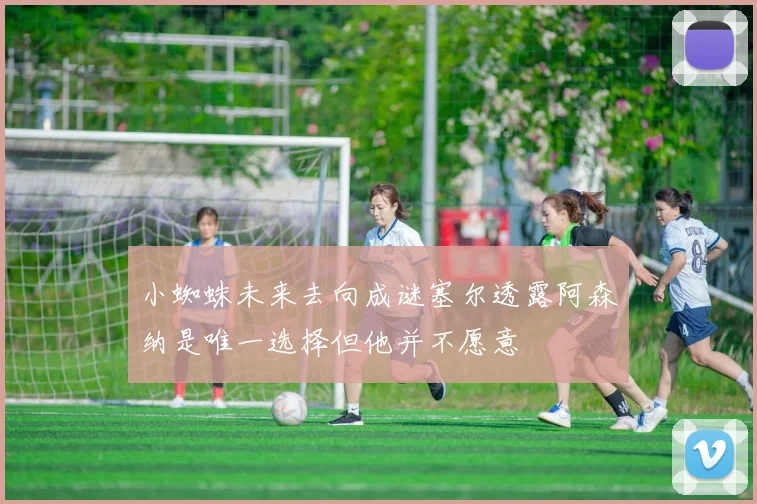 小蜘蛛未来去向成谜塞尔透露阿森纳是唯一选择但他并不愿意
